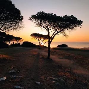 Casa vacanze Asfodelo, Villaputzu